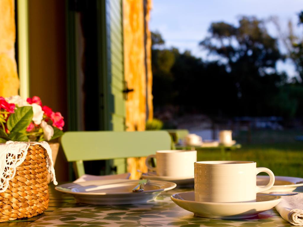 Vale De Ferreiros Guest House Abrantes Ngoại thất bức ảnh
